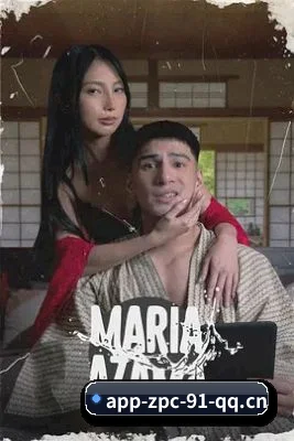 📺 关于本站